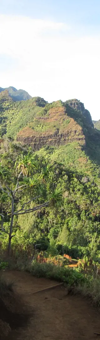 Blick auf die Na-Pali Küste